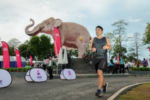 BIB: 
                            <button type="button" onclick="openModal(26529049)" class="btn btn-primary btn-sm float-right btn-popup" data-toggle="modal" data-target=".modal-high-quality">
                        <i class="fas fa-shopping-cart"></i> Add to Cart
                    </button>
                                            <button type="button" onclick="isThisMe(26529049, true)" class="btn btn-success btn-sm float-right btn-popup btn-isme hidden" data-toggle="tooltip" data-placement="bottom" title="นี่คือรูปของคุณใช่ไหม คลิกที่นี่เพื่อเอาเข้าอัลบั้ม">
                        <i class="fas fa-plus"></i> Add to album
                    </button>
                    <button type="button" onclick="isThisMe(26529049, false)" class="btn btn-warning btn-sm float-right btn-popup btn-isnotme hidden">
                        <i class="fas fa-ban"></i> Remove from album
                    </button>